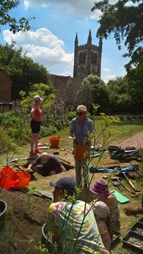 test pitting St Andrews Farnham