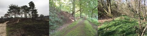 Bronze Age barrow at Thursley, Hascombe’s Iron Age hillfort and Roman road at Limpsfield (photos Anne Sassin and Judie English)