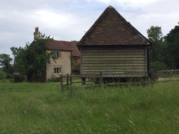 Imbhams Farm near Haslemere